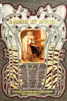 A magyar nép művészete (1. kötet) by Dezső Malonyay