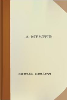 A mester by Miklós Surányi