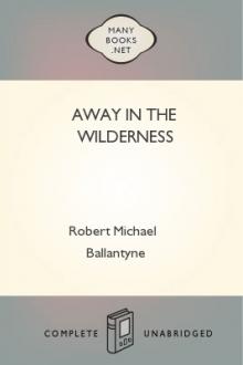 Away in the Wilderness by Robert Michael Ballantyne