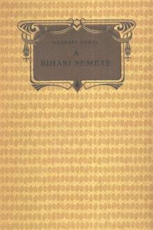 A bihari remete by Aurél Kárpáti