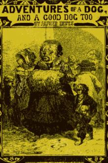 The Adventures of a Dog, and a Good Dog Too by Alfred Elwes