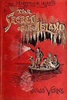 The Secret of the Island by Jules Verne