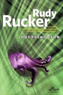 Postsingular by Rudy Rucker