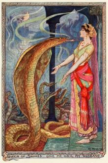 The Olive Fairy Book by Unknown