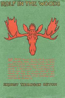 Rolf In The Woods by Ernest Thompson Seton
